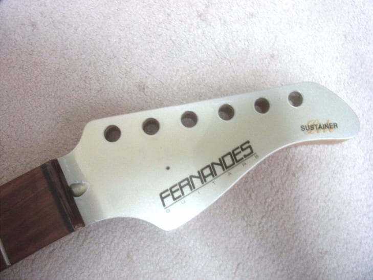 ペグを取り外したフェルナンデスのネック