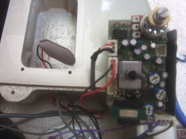 ふたを外したギター裏面のアップ